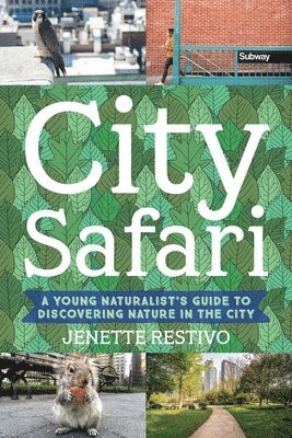 Jenette Restivo - Wild in the Streets, Häftad