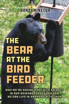 Randi Minetor - Bear at the Bird Feeder, Häftad