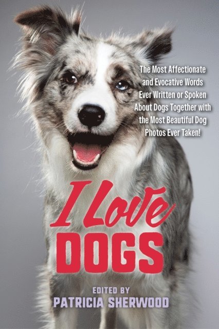Patricia M. Sherwood - I Love Dogs, E-bok. Tillgänglighet: Lägg i varukorg