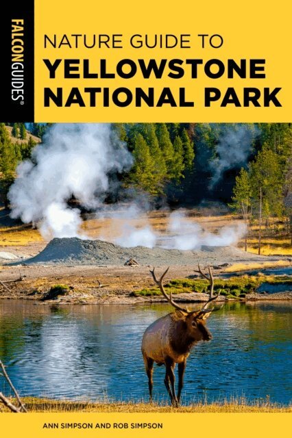 Rob Simpson, Ann Simpson - Nature Guide to Yellowstone National Park, E-bok
