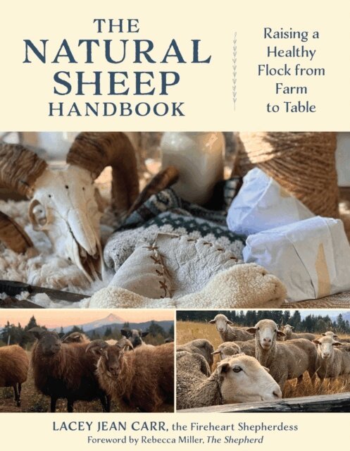 Lacey Jean Carr - Natural Sheep Handbook, E-bok. Tillgänglighet: Kommande