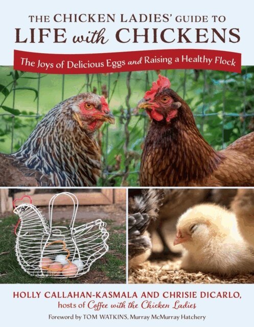 Chrisie DiCarlo, Holly Callahan-Kasmala - Chicken Ladies' Guide to Life with Chickens, E-bok. Tillgänglighet: Kommande