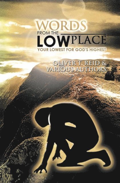 Oliver T. Reid - Words from the Low Place, E-bok