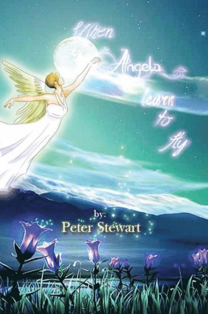 Peter Stewart - When Angels Learn to Fly, E-bok