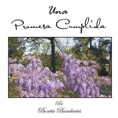 Bonita Bandaries - Una Promesa Cumplida, Häftad. Tillgänglighet: Lägg i varukorg