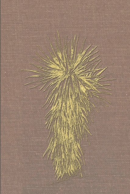 Louise S. O'Connor, Cecilia Thompson - Marfa and Presidio County, Texas, E-bok