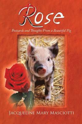 Jacqueline Mary Masciotti - Rose - Postcards and Thoughts from a Beautiful Pig, Häftad. Tillgänglighet: Lägg i varukorg