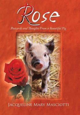 Jacqueline Mary Masciotti - Rose - Postcards and Thoughts from a Beautiful Pig, Inbunden. Tillgänglighet: Lägg i varukorg