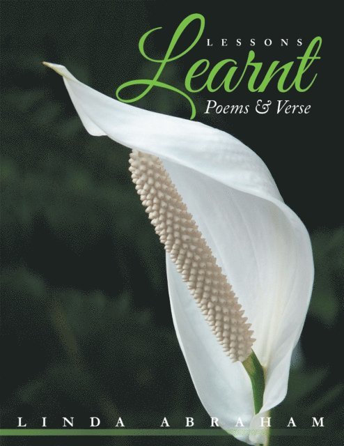 Linda Abraham - Lessons Learnt, E-bok