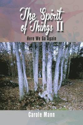 Carole Mann - Spirit of Things II, Häftad. Tillgänglighet: Lägg i varukorg