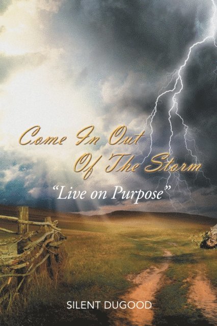 Silent Dugood - Come in out of the Storm, E-bok