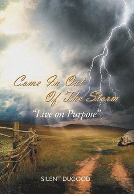 Silent Dugood, Cathy Robinson - Come in Out of the Storm, Inbunden