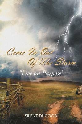 Silent Dugood, Cathy Robinson - Come in Out of the Storm, Häftad