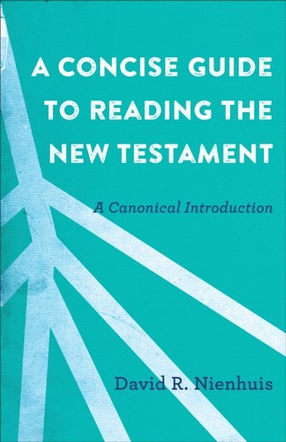 David R. Nienhuis - Concise Guide to Reading the New Testament, E-bok