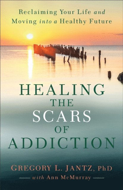 Ann McMurray, Gregory L.,PhD Jantz - Healing the Scars of Addiction, E-bok