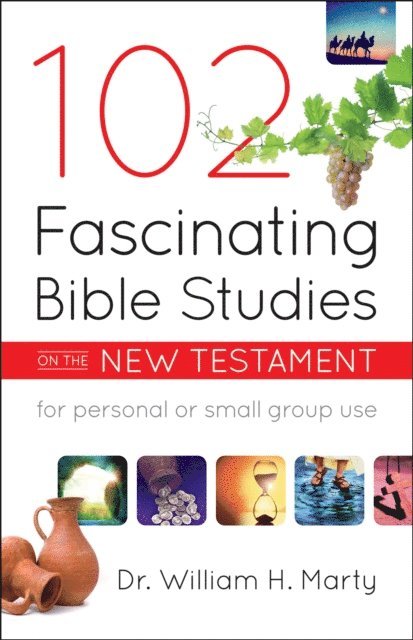 Dr. William H. Marty - 102 Fascinating Bible Studies on the New Testament, E-bok