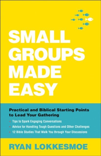 Ryan Lokkesmoe - Small Groups Made Easy, E-bok