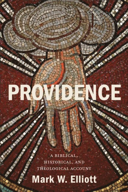 Mark W. Elliott - Providence, E-bok