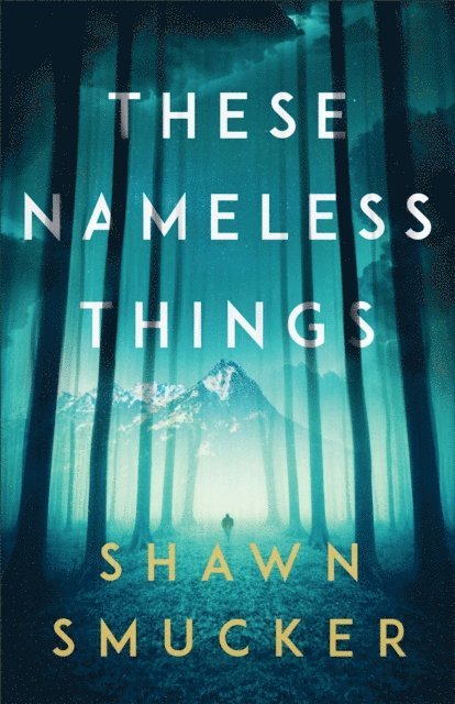 Shawn Smucker - These Nameless Things, E-bok. Tillgänglighet: Lägg i varukorg