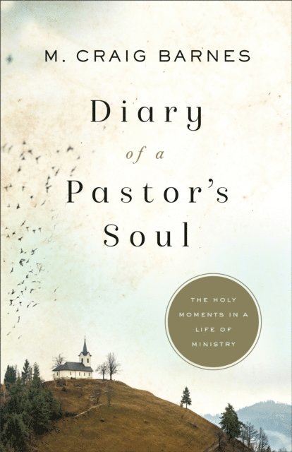 M. Craig Barnes - Diary of a Pastor's Soul, E-bok