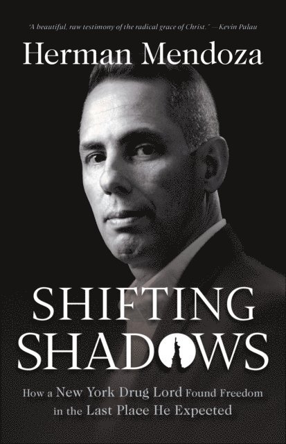 Herman Mendoza - Shifting Shadows, E-bok