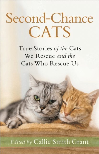Second-Chance Cats