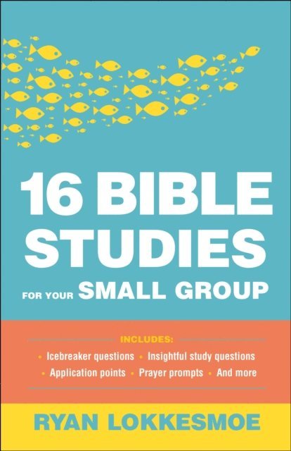 Ryan Lokkesmoe - 16 Bible Studies for Your Small Group, E-bok