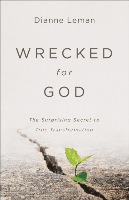 Dianne Leman - Wrecked for God, E-bok