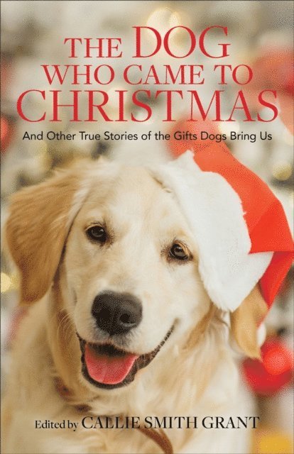 Callie Smith Grant - Dog Who Came to Christmas, E-bok. Tillgänglighet: Lägg i varukorg