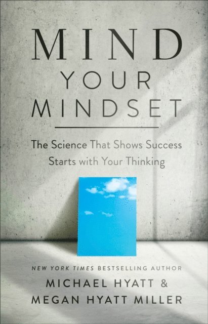Megan Hyatt Miller, Michael Hyatt - Mind Your Mindset, E-bok