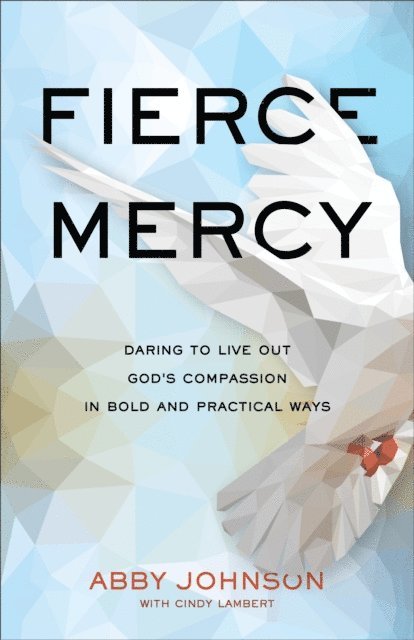 Abby Johnson - Fierce Mercy, E-bok