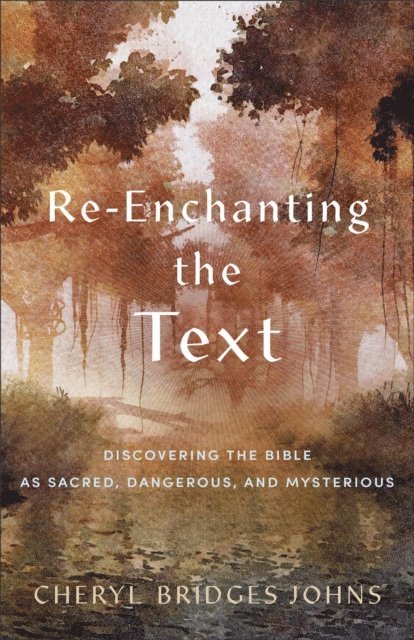 Cheryl Bridges Johns - Re-enchanting the Text, E-bok