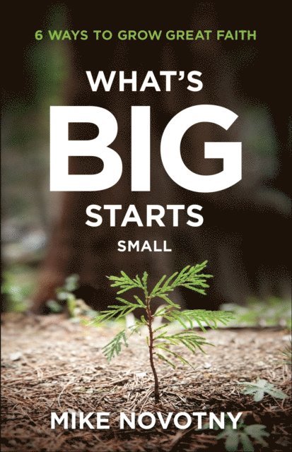 Time of Grace Ministry, Mike Novotny - What's Big Starts Small, E-bok