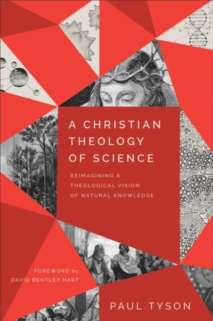 Paul Tyson - Christian Theology of Science, E-bok