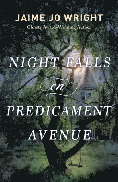 Jaime Jo Wright - Night Falls on Predicament Avenue, E-bok