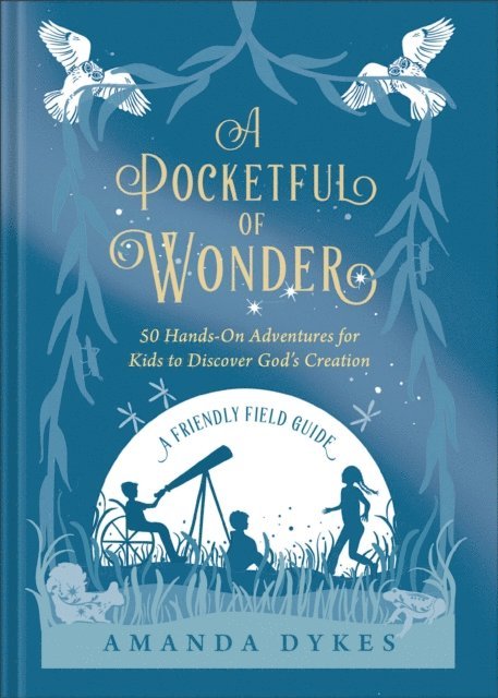 Amanda Dykes - Pocketful of Wonder, E-bok