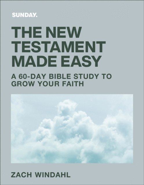 Zach Windahl - New Testament Made Easy, E-bok