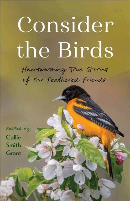Callie Smith Grant - Consider the Birds, E-bok. Tillgänglighet: Lägg i varukorg