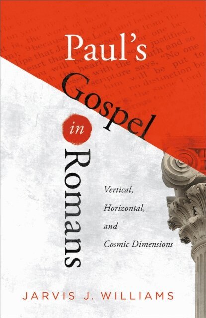 Jarvis J. Williams - Paul's Gospel in Romans, E-bok