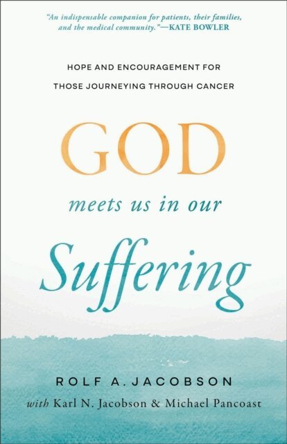 Rolf A. Jacobson - God Meets Us in Our Suffering, E-bok