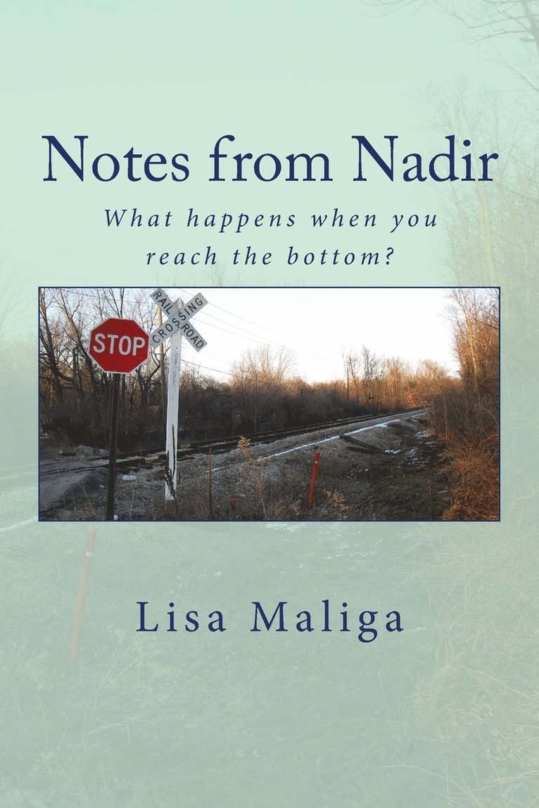Lisa Maliga - Notes from Nadir, Häftad. Tillgänglighet: Lägg i varukorg