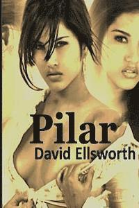 David Ellsworth - Pilar, Häftad. Tillgänglighet: Lägg i varukorg