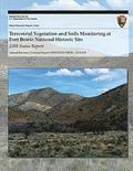 Terrestrial Vegetation and Soils Monitoring at Fort Bowie National Historic Site: 2008 Status Report