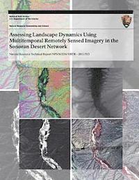 Willem Van Leeuwen, Raul Romo - Assessing Landscape Dynamics Using Multitemporal Remotely Sensed Imagery in the Sonoran Desert Network, Häftad. Tillgänglighet: Lägg i varukorg