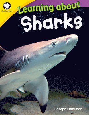 Joseph Otterman - Learning about Sharks, Häftad. Tillgänglighet: Lägg i varukorg