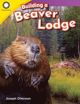 Joseph Otterman - Building a Beaver Lodge, Häftad. Tillgänglighet: Lägg i varukorg