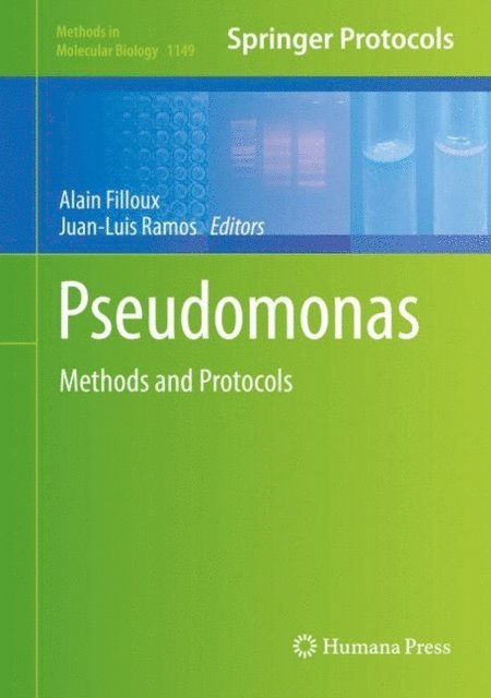 Juan-Luis Ramos, Alain Filloux - Pseudomonas Methods and Protocols, E-bok