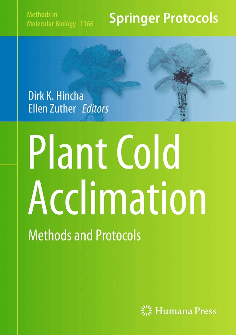 Dirk K. Hincha, Ellen Zuther - Plant Cold Acclimation, Inbunden