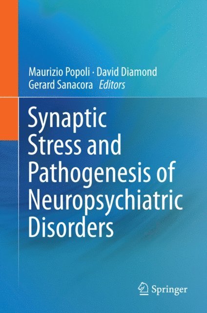 Gerard Sanacora, David Diamond, Maurizio Popoli - Synaptic Stress and Pathogenesis of Neuropsychiatric Disorders, E-bok