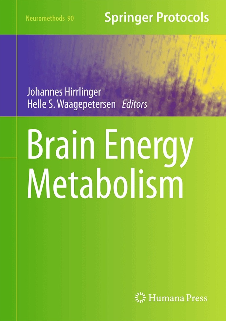Johannes Hirrlinger, Helle S. Waagepetersen - Brain Energy Metabolism, Inbunden